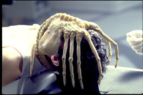 ALIEN (1979) Reviews and overview - MOVIES & MANIA