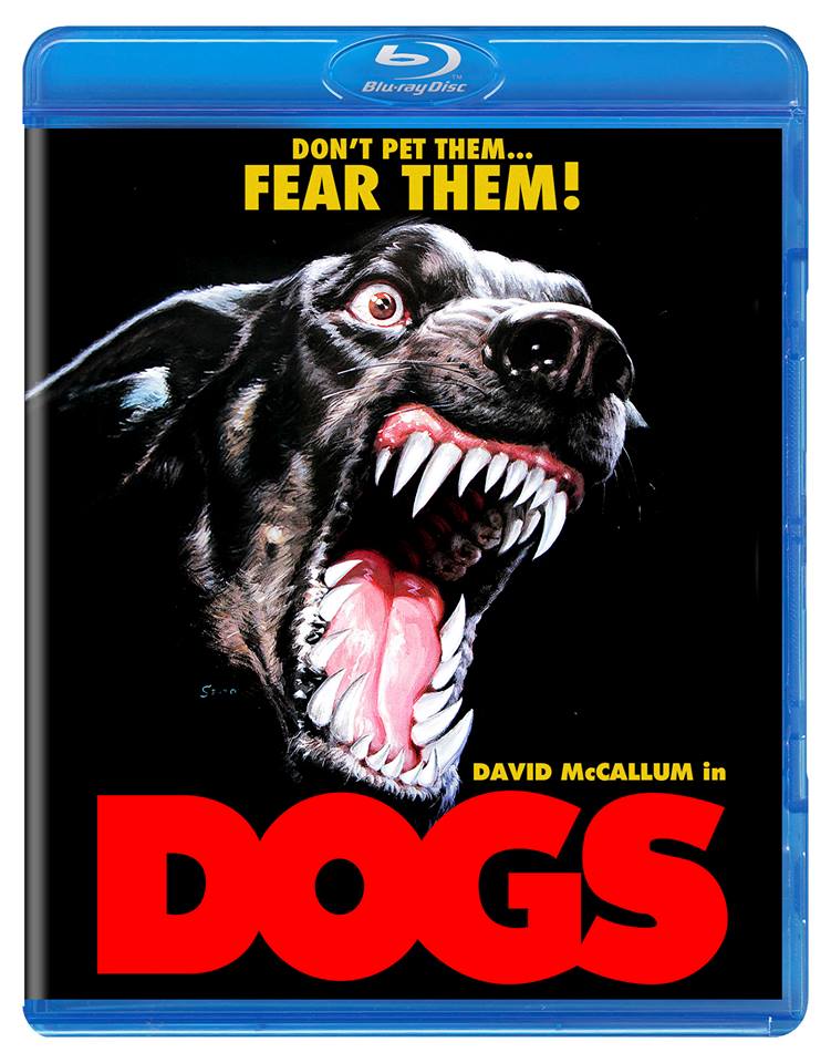 DOGS (1976) Reviews and now free to watch online! MOVIES and MANIA