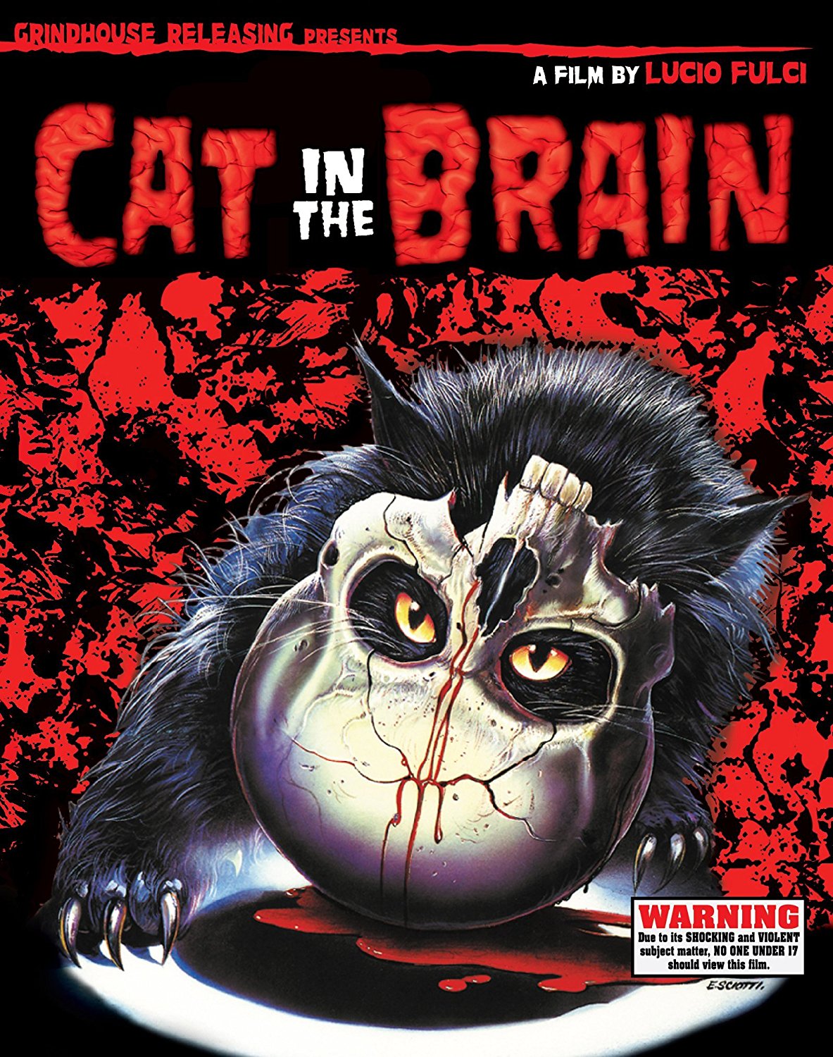 NIGHTMARE CONCERT (A CAT IN THE BRAIN) (1990) Reviews and overview