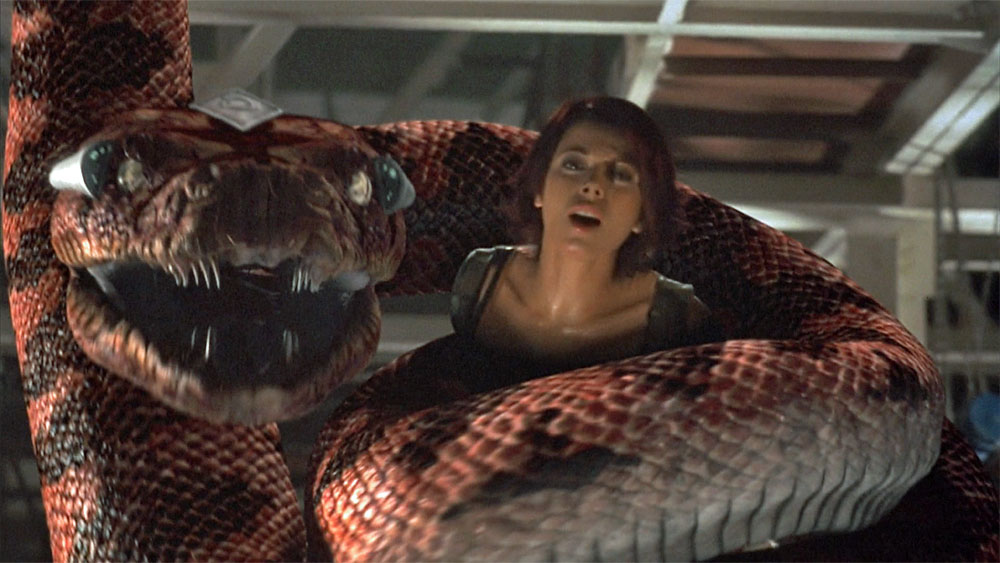 Boa vs Python is a 2004 comedy action horror feature film about a giant boa const...