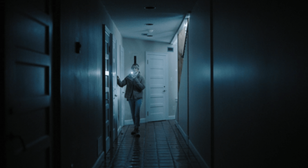 SEE FOR ME (2020) Reviews and overview of home invasion thriller