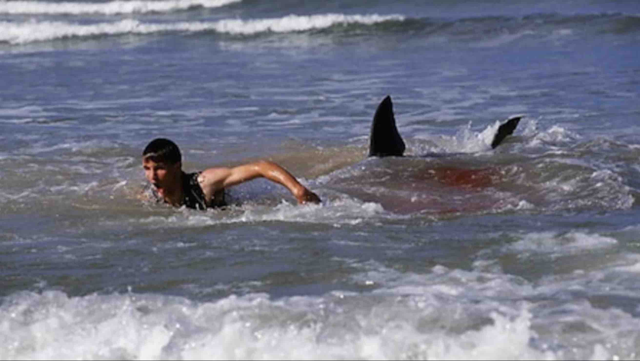 Нападение акулы на мальдивах