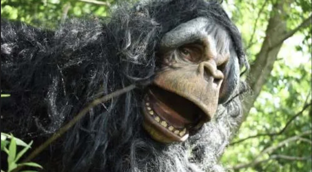 REEL MONSTERS (2022) Reviews and overview of Bigfoot movie - MOVIES and  MANIA